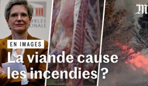 Viande et incendies : ce qu’affirme Sandrine Rousseau est-il vrai ?