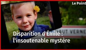 Disparition d'Émile : retour sur l'affaire qui a ému la France entière