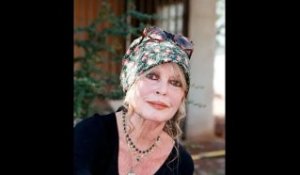 Brigitte Bardot "terriblement seule" : elle se confie sur ses espoirs pour le futur