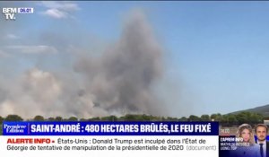 480 hectares brûlés après un violent incendie dans les Pyrénées-Orientales