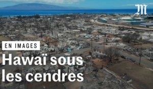 Incendies à Hawaï : le bilan s’alourdit à 80 morts