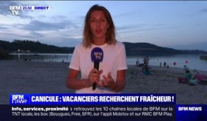 Canicule: les vacanciers à la recherche de la fraîcheur au lac de Paladru (Isère)