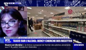 Taxes sur l'alcool: pour Nathalie Goulet (sénatrice UDI de l'Orne), le gouvernement devrait "aller chasser la fraude" plutôt que de "taxer le contribuable"