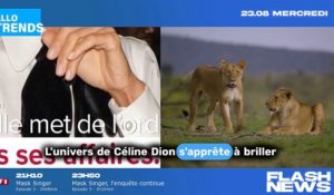 Les secrets intimes de Céline Dion dévoilés par sa famille : M6 révèle tout !