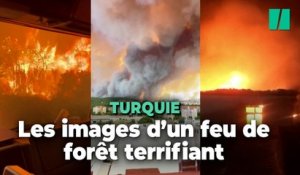 Turquie : les images du feu de forêt qui interrompt le trafic maritime dans les Dardanelles