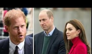 Le prince William et Kate sont « irrités » par le projet du prince Harry pour l'anniversaire