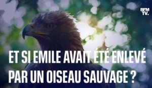 LIGNE ROUGE - Disparition d'Emile: la piste des animaux sauvages
