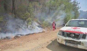 Grèce: les pompiers continuent de lutter contre l'incendie dans un parc national