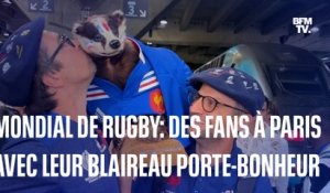 Mondial de rugby: des supporters arrivent à Paris avec leur "blaireau porte-bonheur"