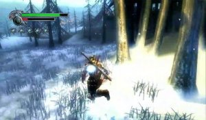 Viking: Battle for Asgard online multiplayer - ps3