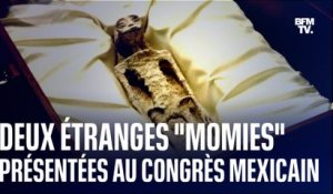  Deux étranges "momies d'extraterrestres" présentées au Congrès mexicain