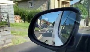 Un nuage d'abeilles se forme après un accident à Malemort en Corrèze