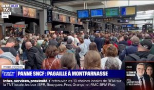 Gare Montparnasse: retour à la normale après la perturbation du trafic ce dimanche
