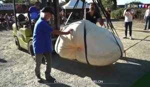 Voici le plus gros potiron de France, il pèse 928 kg et il est comestible