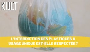 L’interdiction des plastiques à usage unique est-elle respectée ?