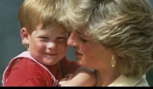 La princesse Diana aurait été une « véritable alliée familiale » du prince Harry au milieu des lutte