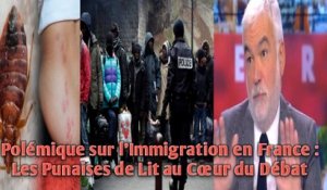 Polémique sur l’Immigration en France : Les Punaises de Lit au Cœur du Débat.