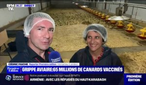 Grippe aviaire: 65 millions de canards vaccinés
