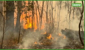 Australie: des pompiers sur les lieux d'un feu de forêt