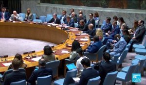 Le Conseil de sécurité de l'Onu approuve une mission de sécurité à Haïti