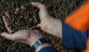 Des pellets de bois à la place du charbon : la centrale de Saint-Avold prépare sa transition vers les énergies renouvelables