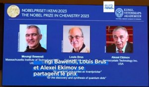 Le prix Nobel de chimie à Moungi Bawendi, Louis Brus et Alexei Ekimov