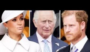 Donnez votre avis : Harry et Meghan devraient-ils se rendre davantage au Royaume-Uni pour soutenir l