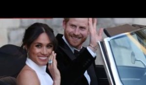 Meghan "pensava che sarebbe stata la Beyoncé britannica", ma le regole l'hanno bloccata, afferma l'e