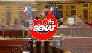 100% Sénat - Le Sénat adopte un texte pour renforcer la protection des élus locaux (10/10)
