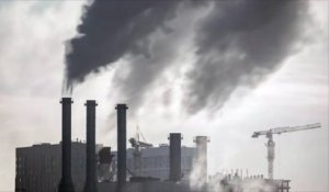 Des scientifiques lient l'exposition à la pollution atmosphérique et la puberté prématurée