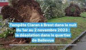 Tempête Ciaran à Brest : la désolation à Bellevue