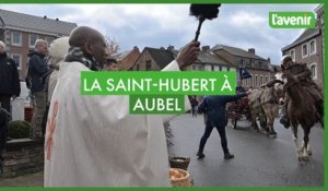 La Saint-Hubert à Aubel 2023