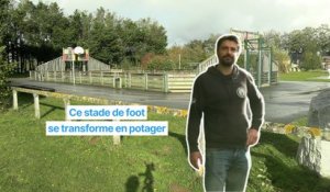 Ce stade de foot se transforme en potager