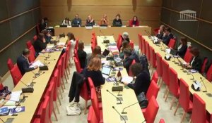 Délégation aux droits des femmes : Mme Bérangère Couillard, ministre, chargée de l'égalité entre les femmes et les hommes et de la lutte contre les discriminations - Mardi 7 novembre 2023