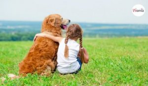 10 choses que personne ne vous dit lorsque vous adoptez un chien