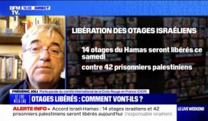 Libération des otages: "On espère que le même résultat sera obtenu aujourd'hui et dans les jours qui vont suivre", affirme le porte-parole du CICR