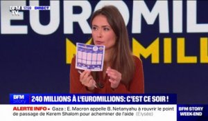 EuroMillions: la grille de Julie Hammett et de ses invités pour le tirage record de 240 millions d'euros