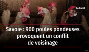 Savoie : 900 poules pondeuses provoquent un conflit de voisinage