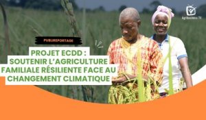 Publireportage : Projet ECDD - Soutenir l’agriculture familiale résiliente face au changement climatique