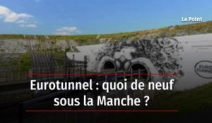 Eurotunnel : quoi de neuf sous la Manche ?