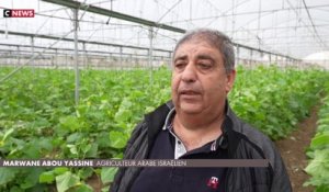 Israël : des bénévoles au secours des agriculteurs