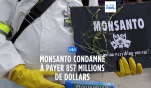 USA : Monsanto condamné à payer 857 millions de dollars