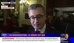 Gérald Darmanin sur le projet de loi immigration: "Ce qui m'intéresse, c'est d'appliquer le programme du président de la République et d'être à l'honneur de mes fonctions de ministre de l'Intérieur"