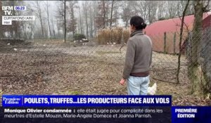 Volailles de Bresse dans l'Ain: à l'approche des fêtes, les producteurs font face aux vols