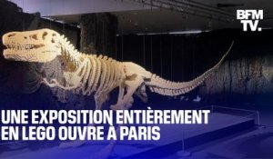 Un dinosaure de 80.000 briques, "La Nuit étoilée": une exposition entièrement en Lego ouvre à Paris