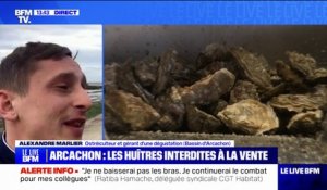 Huîtres du Bassin d'Arcachon interdites à la vente: "Notre chiffre d'affaires est en train de s'écrouler", déplore cet ostréiculteur