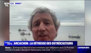 Huîtres du Bassin d'Arcachon interdites à la vente: "C'est un coup très dur apporté à la filière", explique cet ostréiculteur du Cap Ferret