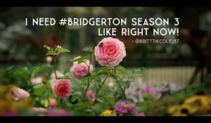 Bridgerton Saison 3 - Date Announcement (EN)