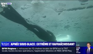 Extrême et rafraichissant, nos reporters ont testé l'apnée sous glace