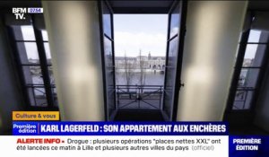 L'appartement parisien de Karl Lagerfeld mis aux enchères